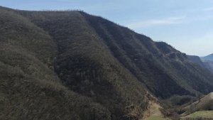 Пахота огорода сохой на быках. Хивский район с. Арчуг!