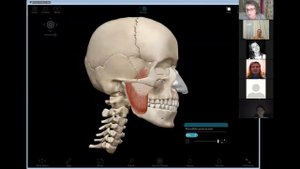 О височно-нижнечелюстном суставе