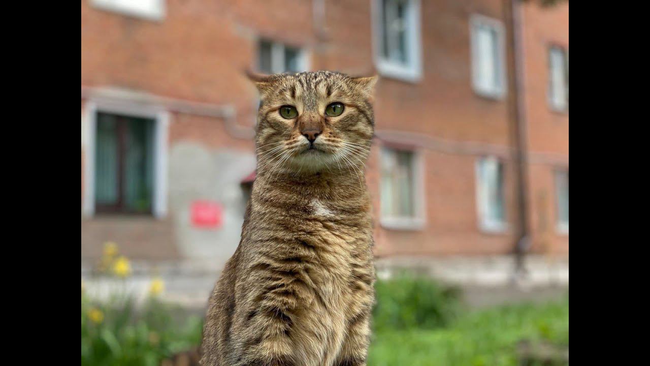 Нас заблокируют?? Прямой эфир