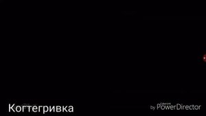 Коты воители||Бич и Пепелица{читайте описание!}