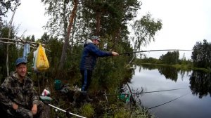 РЫБАЛКА НА КАРАСЯ. АЙФОН В ЛЕСУ НЕ ПОМОШНИК. Прикол на рыбалке.