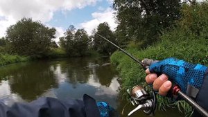 Ловля Голавля в пасмурную погоду | Graphiteleader