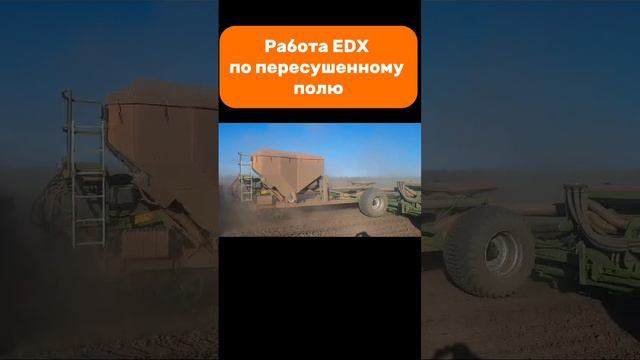 Работа EDX по пересушенному полю #amazone #edx #planter #k7 #kirovez