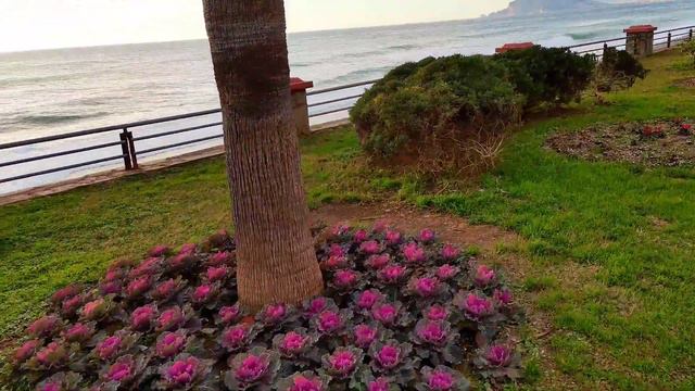 🏖МАХМУТЛАР. ЗИМА ЗАКОНЧИЛАСЬ!🌴ПРОГУЛКА.УЛ.АТАТЮРК.МОРЕ!🌊#Турция.Аланья#