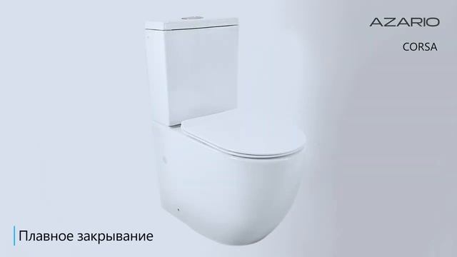 Обзор унитазов бренда Azario.
