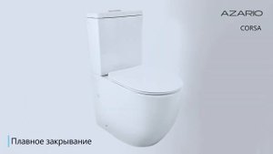 Обзор унитазов бренда Azario.