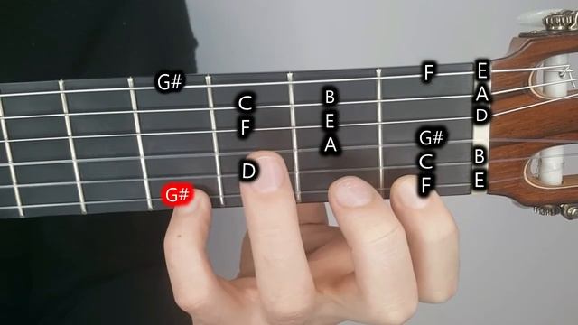 Flamenco scale - Phrygian dominant смотреть онлайн