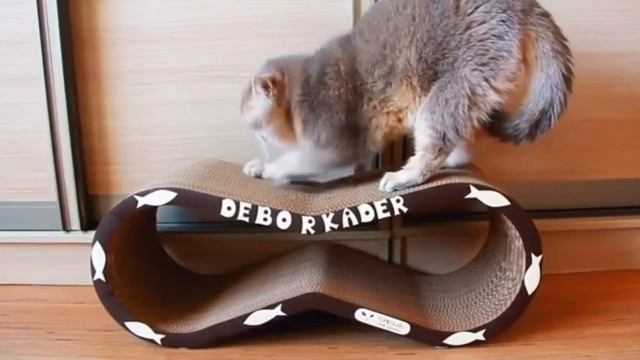 Когтеточки-лежанки TOMEOW смотреть онлайн