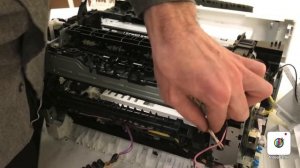 МФУ HP 227 ремонт, замена термопленки и прижимного валика