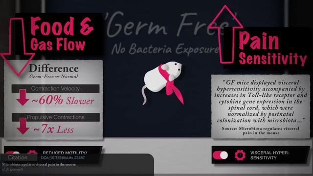 Вздутие живота: что вызывает вздутие живота и как от него избавиться (выбор продуктов, микробиом, пр