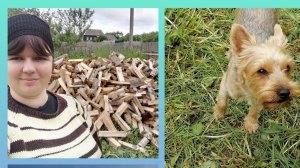 Деревня! Купили дрова. Вопросы с документами решены /нашла раритетные фото