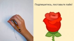 Рисую цветок карандашом | Drawing flower pencil