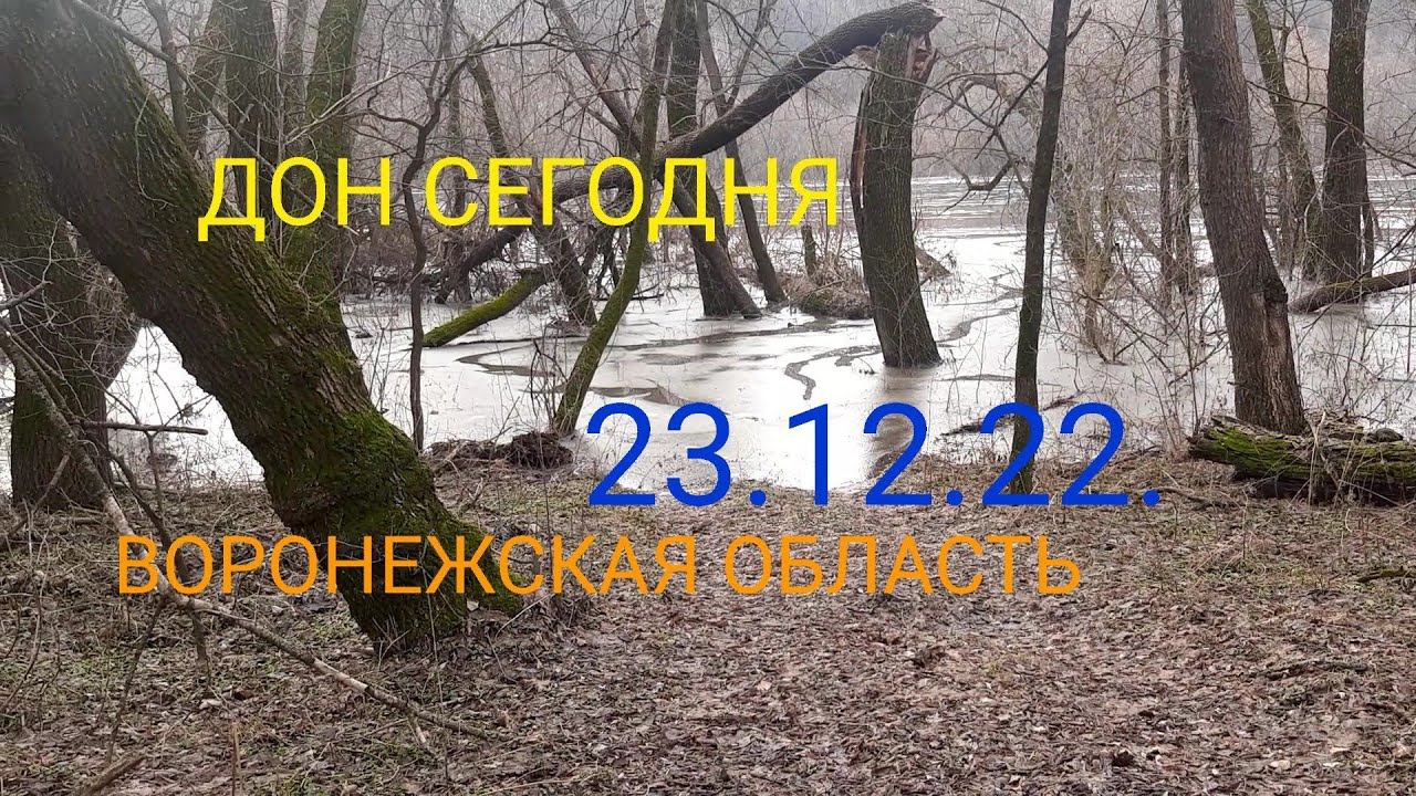 ПАВОДОК НА ДОНУ В ДЕКАБРЕ?!?! СИТУАЦИЯ НА ДОНУ 23.12.2022 г. смотреть онлайн