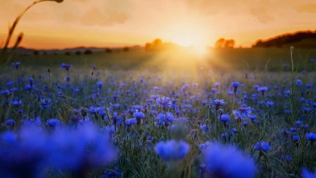 Утренняя медитация мягкое пробуждение смотреть онлайн