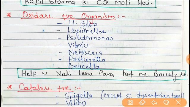 Urease, Catalase & Oxidase Positive Bacteria Mnemonics for MBBS, NEET PG, AIIMS PG, FMGE & ALL PG смотреть онлайн