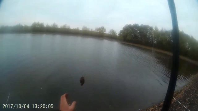 Ловля карпа поздней осенью смотреть онлайн