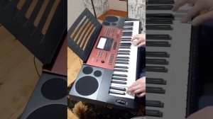 Розовые розы, на синтезаторе Casio ctk-6250