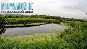 МОРМЫШИНГ на заросшей деревенской речке
