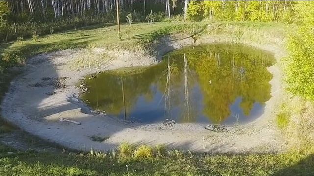 Полусухой пруд в зиму ? А как же рыба? Как растения??? смотреть онлайн