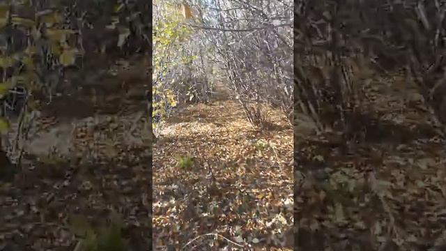 Участок за третьего ребенка!!! смотреть онлайн