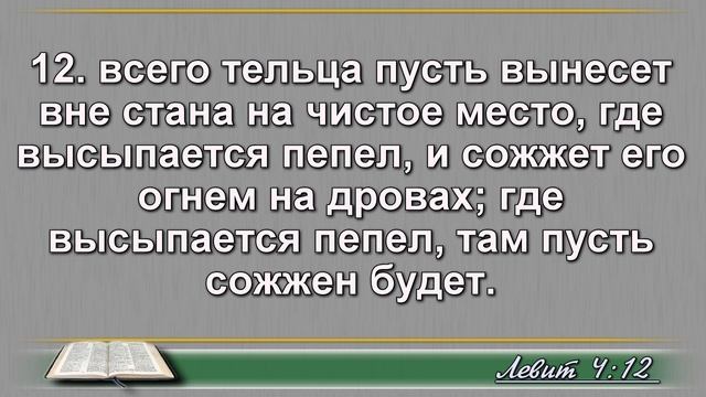 Чтение Библии на 16 Февраля: Псалом 47, Деяния Апостолов 19, Левит 4, 5 смотреть онлайн