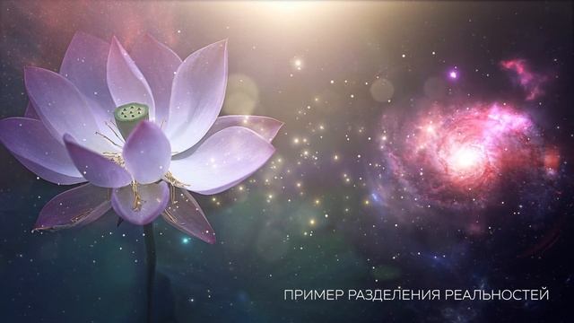 Разделение Реальностей
