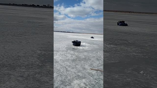 Палатка медведь в сильный ветер