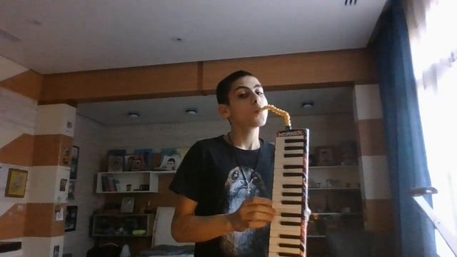 Обзор мелодики "Hohner"