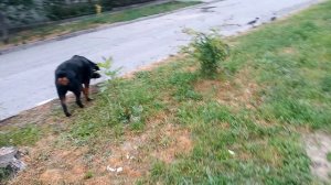 подружка подружки Берты