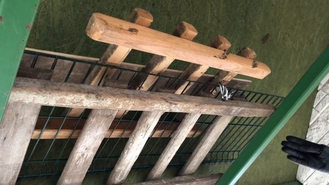 Как построить курятник самому. Удачный опыт. смотреть онлайн