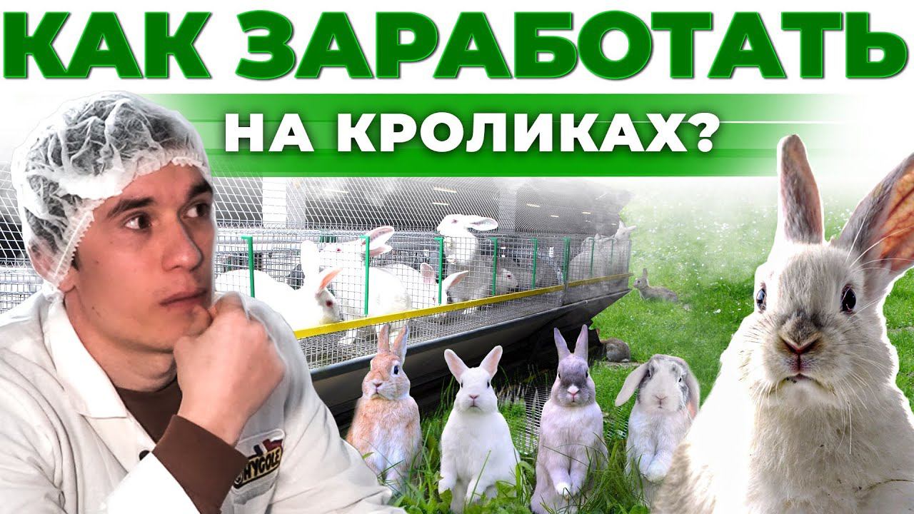 Как открыть Бизнес в селе | Доход и риски | Как заработать на Кроликах? | Андрей Даниленко