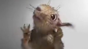 Смешной мультик про белку