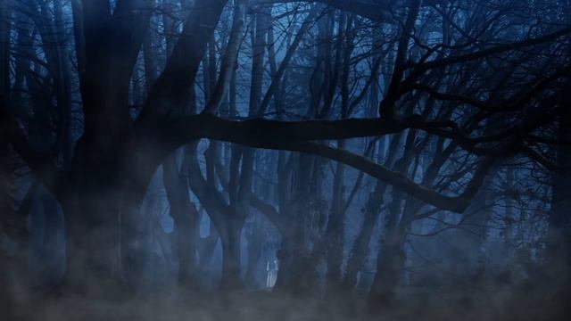 Мистический лес / Релакс смотреть онлайн