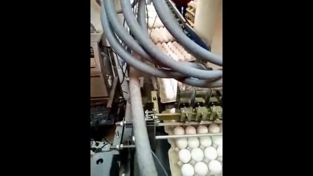 Каплеструйный принтер "ЭКСТ-МУЛЬТИПРИНТ". Имеет от 2-х до 5 независимых съемных печатающих головок смотреть онлайн