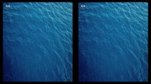 ЧУДИЩА МОРЕЙ 3D: ДОИСТОРИЧЕСКОЕ ПРИКЛЮЧЕНИЕ