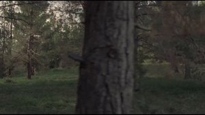 Мир дикого запада. В чем смысл сериала?