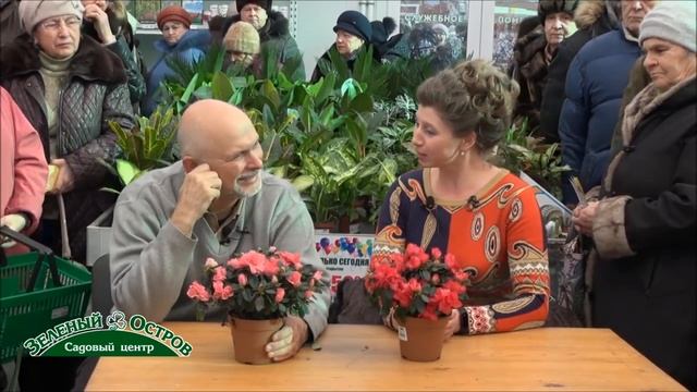 Розы. Передержка роз до пасадки весной. часть 1. Спящие саженцы роз, как сохранить.