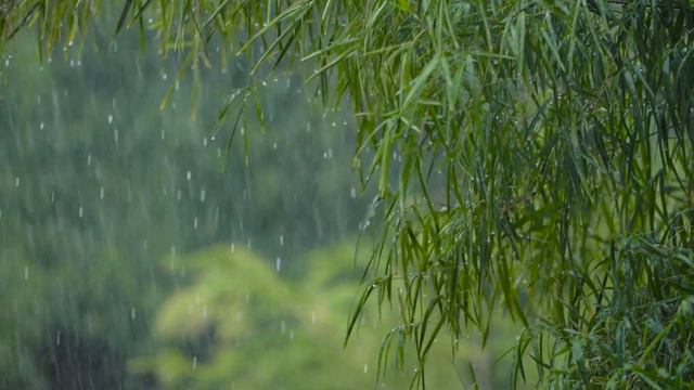 One Hour Of Nonstop Rain Sound For Relief Stress | 1 Hour Continuous Rain Dropping Music for Relief смотреть онлайн