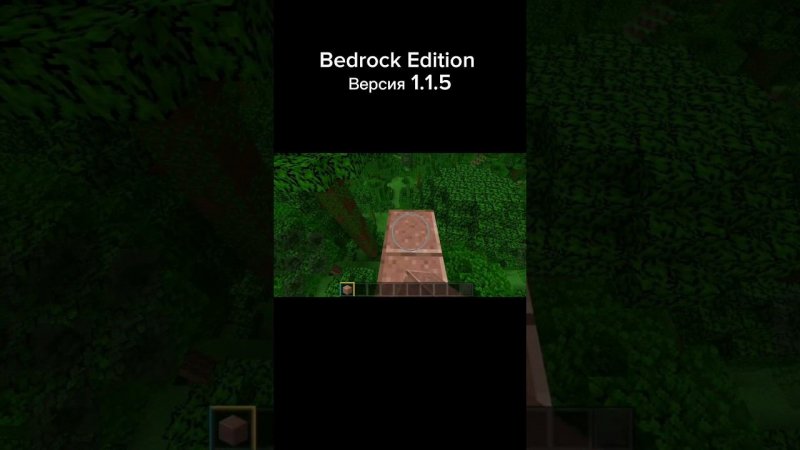 Java VS Bedrock Edition #shorts