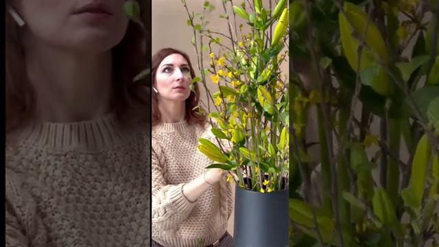 ЦВЕТОЧНОЕ ОФОРМЛЕНИЕ смотреть онлайн