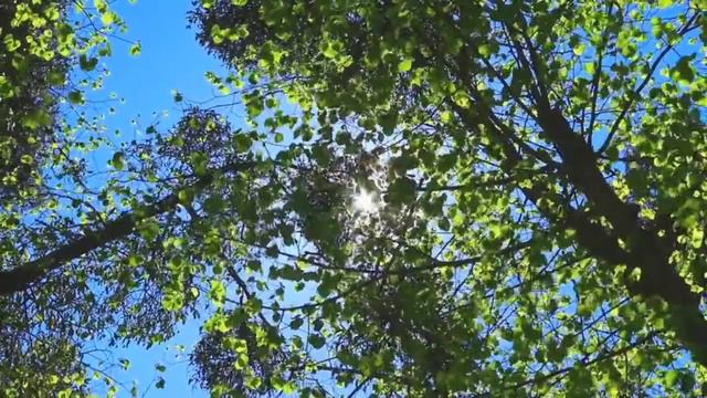 Я не хочу служить вам! Почему вы думаете, что я буду нянька?! смотреть онлайн