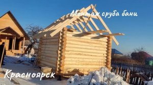 Монтаж сруба бани из оцилиндрованного бревна