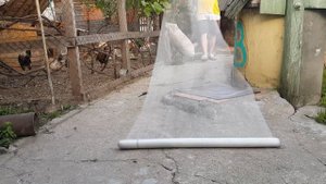 Самое простое и удобное содержание и выращивание молодняка кур яичных пород.