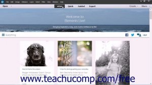 Photoshop Elements 13 Tutorial eLive Adobe Training