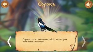 Птицы Леса. Развивающие мультики для малышей. Звуки леса