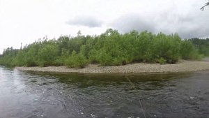 Ловля хариуса нахлыстом | Рыбалка на притоке Томи| Путешествие на водомётной лодке Solar 470 jet