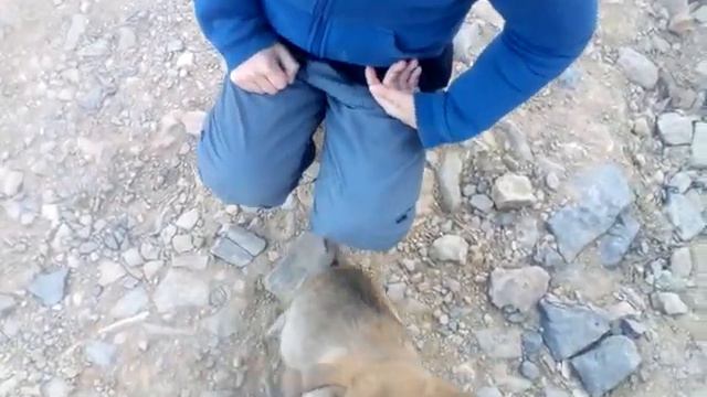 🐩 Животные 🐕 это настоящие друзья для людей с аутизмом ☔ смотреть онлайн