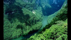 Салман Аль утайби,сура прощающий