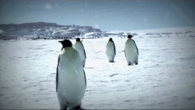 «Что Где Когда» — Зимняя серия игр – 2016 Игра первая Анонс смотреть онлайн