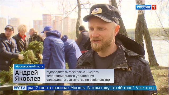 Ихтиологи создают гнезда для рыб смотреть онлайн